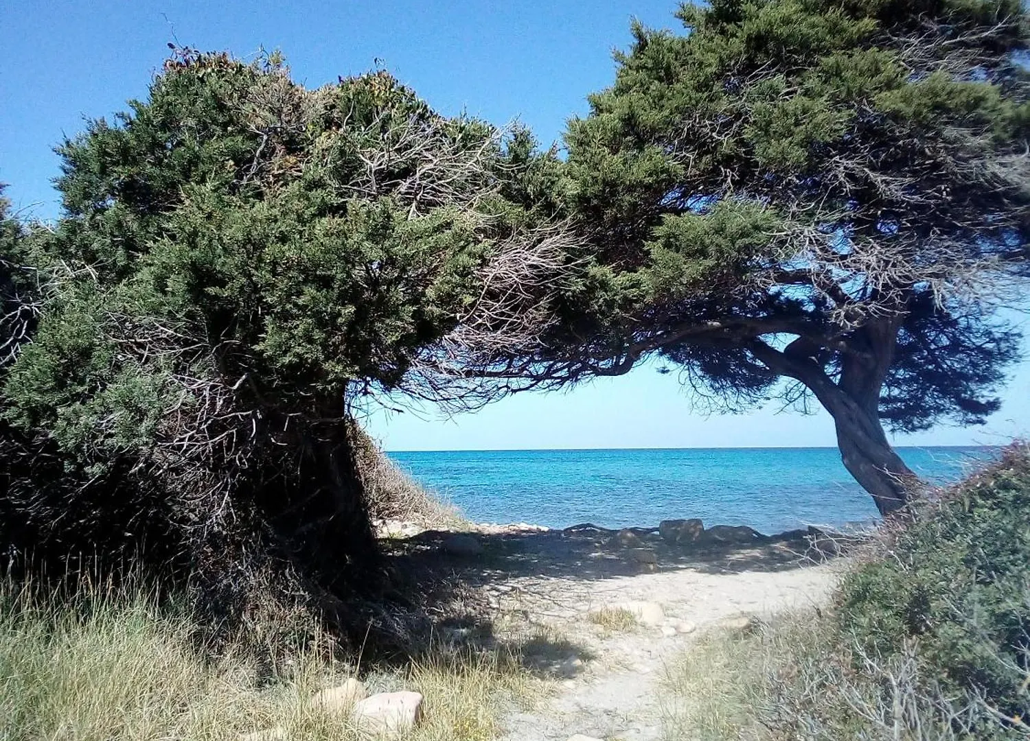 La Caletta Central Apartment